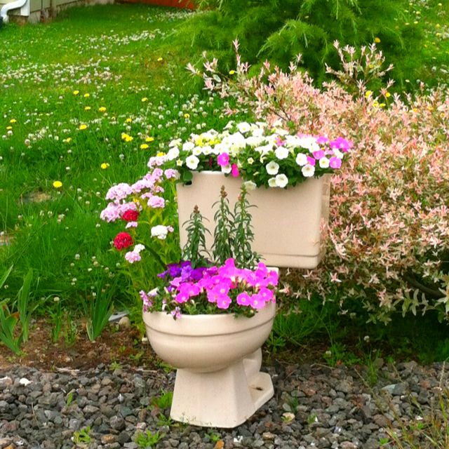 Gallery Toilet Bowl Flower Pot 1741800367 Jpeg