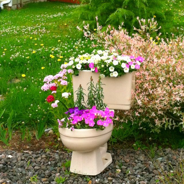 Toilet Bowl Flower Pot Copy 1